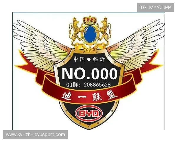 粉丝自制车队联盟:网络时代的创新玩法 粉丝自制车队联盟:网络时代的创新玩法